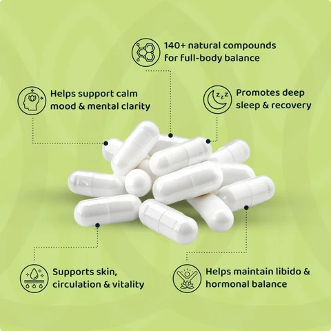Rhodiola Rosea – Natural Cortisol Balance Reset — photo 4